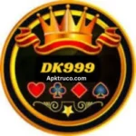 DK999 Game